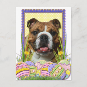 Postal Festiva Cookies de Huevo de Pascua - Bulldog