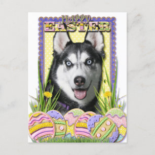 Postal Festiva Cookies de Huevo de Pascua - Husky Siberiano