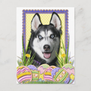 Postal Festiva Cookies de Huevo de Pascua - Husky Siberiano