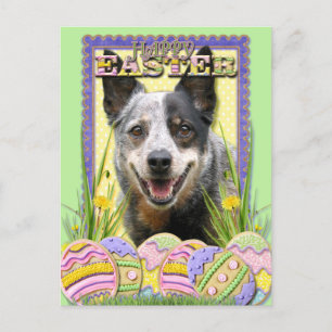 Postal Festiva Cookies de Huevo de Pascua - Perro de ganado austr