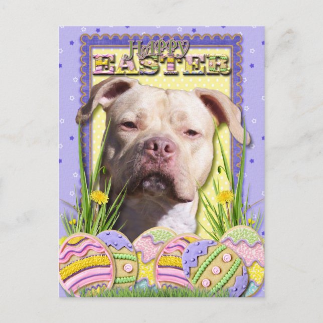 Postal Festiva Cookies de Huevo de Pascua - Pitbull - JerseyGirl (Anverso)