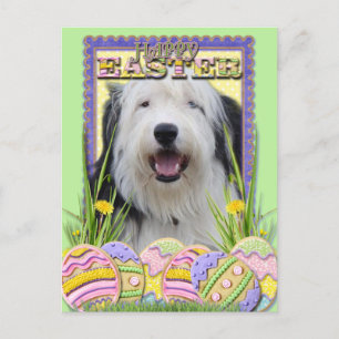 Postal Festiva Cookies de Huevo de Pascua - Sheepdog inglés viejo