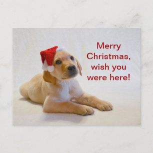 Postal Festiva "Copper" says Merry Christmas!