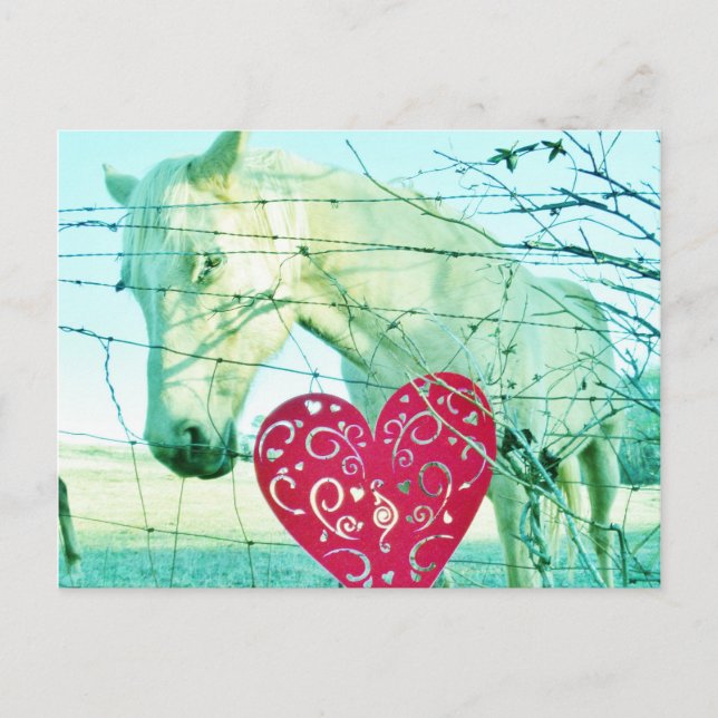 Postal Festiva Corazón Rojo de Caballo Blanco Valentine (Anverso)