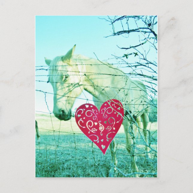 Postal Festiva Corazón Rojo de Caballo Blanco Valentine (Anverso)
