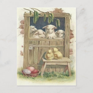 Postal Festiva Cordero de granero de Pascua Huevo pintado de colo