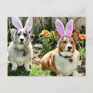 Postal Festiva Corgis de Pascua