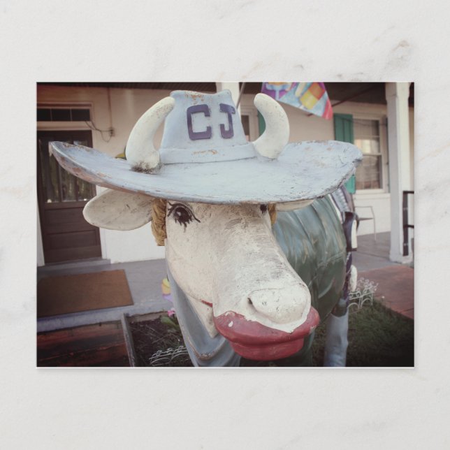 Postal Festiva Cow in Lipstick on a Postcard (Anverso)