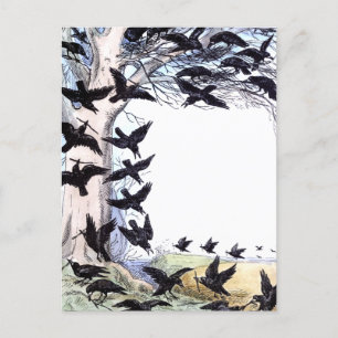 Postal Festiva Crows