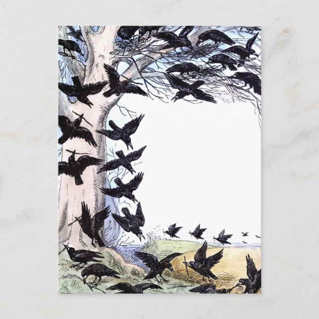 Postal Festiva Crows (Anverso)