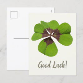 Postal Festiva Cuatro hojas Lucky Clover St Patricks Day Buena Su