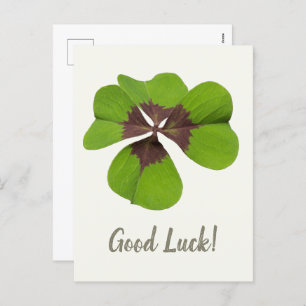 Postal Festiva Cuatro hojas Lucky Clover St Patricks Day Buena Su