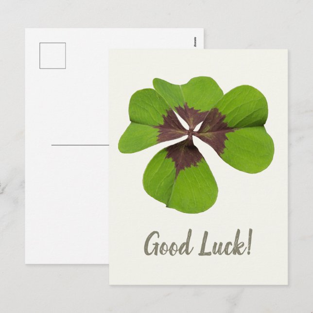 Postal Festiva Cuatro hojas Lucky Clover St Patricks Day Buena Su (Anverso / Reverso)