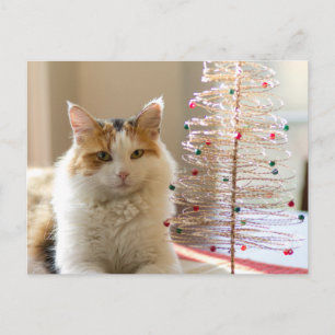 Postal Festiva Cuchillo de Calico tendido junto a su mini árbol d