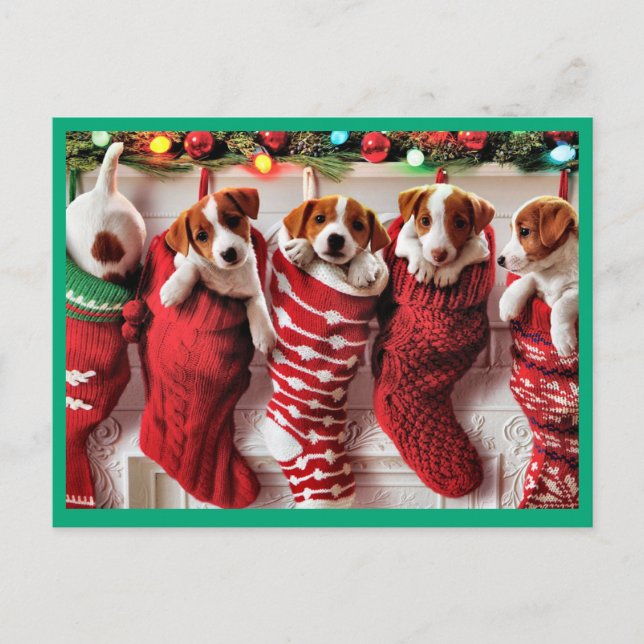Postal Festiva Cuidados cachorros dentro de los Navidades Existen (Anverso)