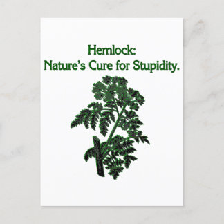 Postal Festiva Cure for Stupid Hemlock Plant Dark Humor