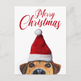 Postal Festiva Curioso perro gracioso con Santa Hat