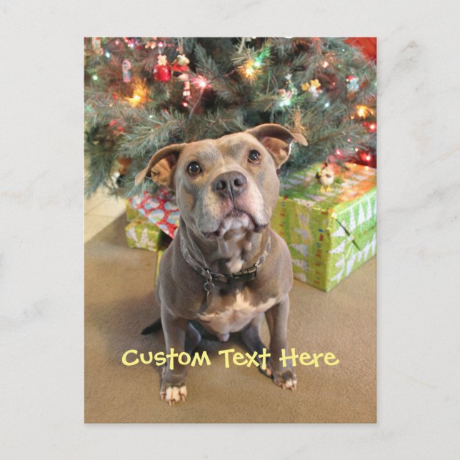 Postal Festiva Custom Pitbull Christmas Postcard (Anverso)