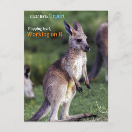 Postal Festiva Cute fluffy joey Kangaroo