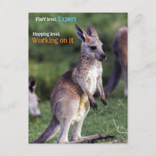 Postal Festiva Cute fluffy joey Kangaroo