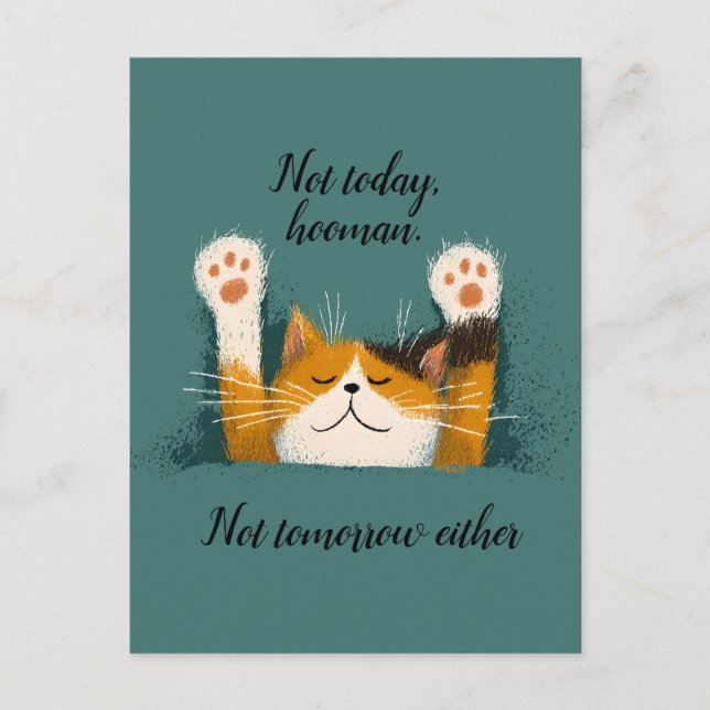 Postal Festiva Cute Funny Cat Nap (Anverso)