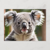 Cute Koala Bear