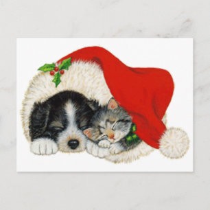 Postal Festiva Cute Puppy And Kitten Sleep In A Santa Hat