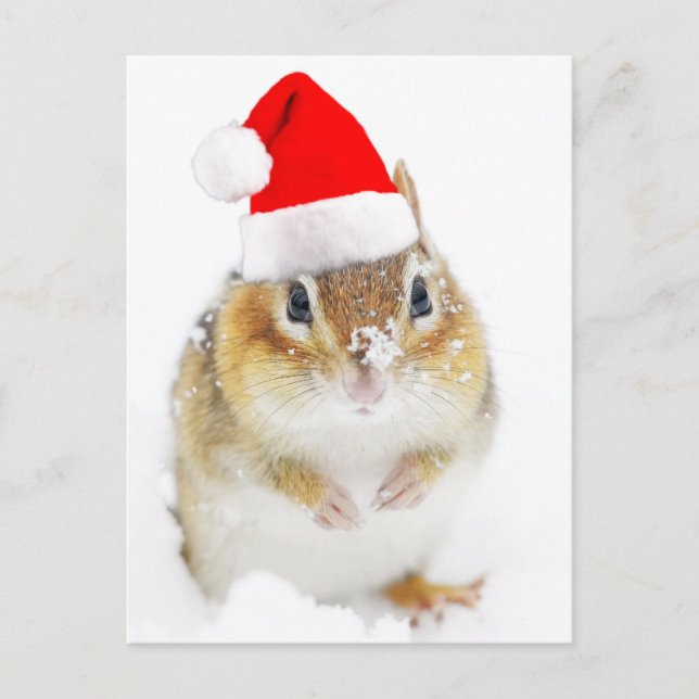 Postal Festiva Cute Snowy Santa Chipmunk (Anverso)