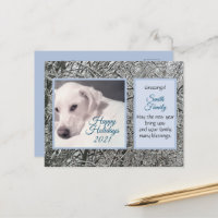 Cute White Dog Winter Tema Azul