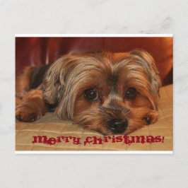Postal Festiva Cute Yorkshire Terrier Merry Christmas