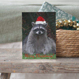 Postal Festiva Cuto Raccoon con sombrero de Santa Red