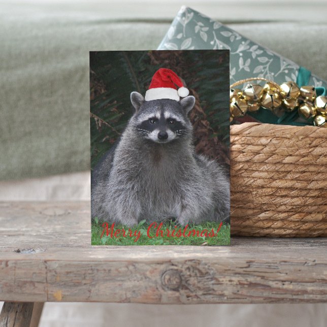 Postal Festiva Cuto Raccoon con sombrero de Santa Red (In Situ)