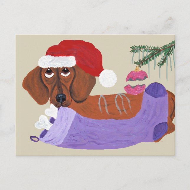 Postal Festiva Dachshund Con Navidades Alzando (Anverso)