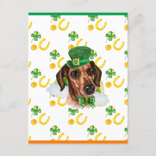 Postal Festiva Dachshund Pelo de Alambre Trébol de San Patricio