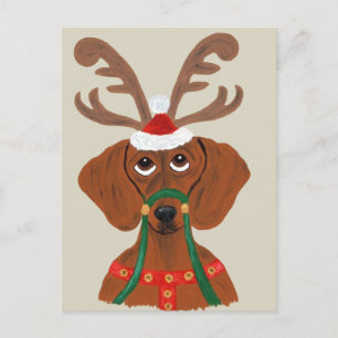 Postal Festiva Dachshund Reno