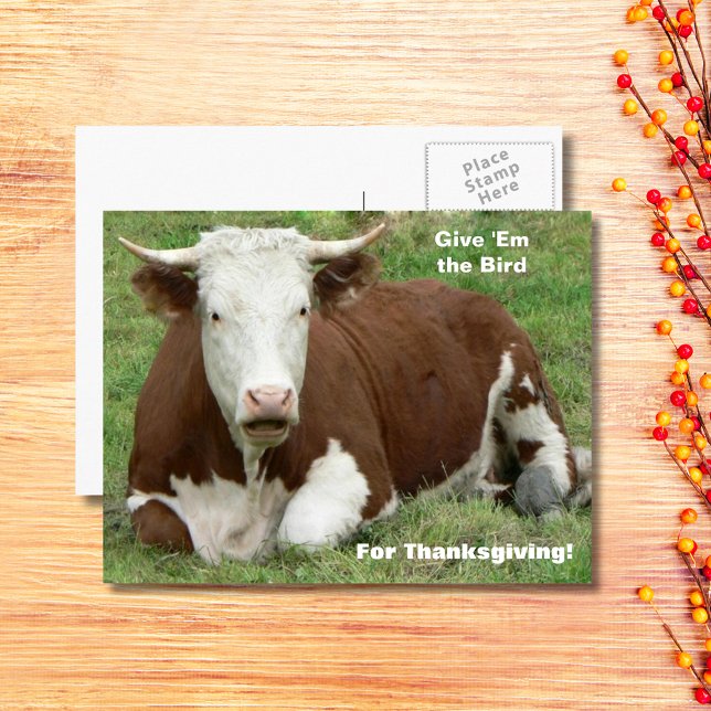Postal Festiva Dadles el pájaro del día de Acción de Gracias (Give 'Em the Bird For Thanksgiving Holiday Postcard)