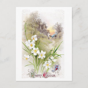 Postal Festiva Daffodils Blancos Pascua Vintage
