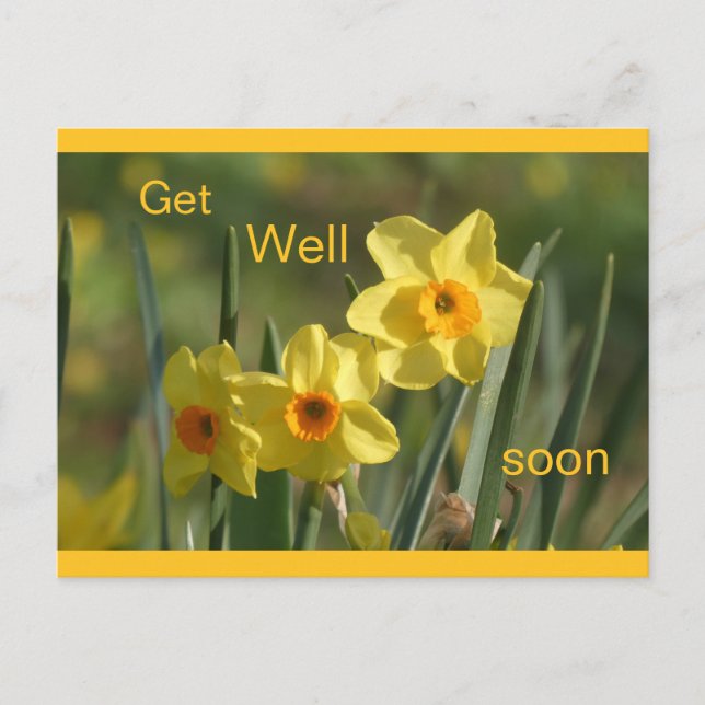 Postal Festiva Daffodils Yellow Orange Cust. Get Well Postcard (Anverso)