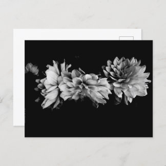 Postal Festiva Dahlia Trio negro y blanco