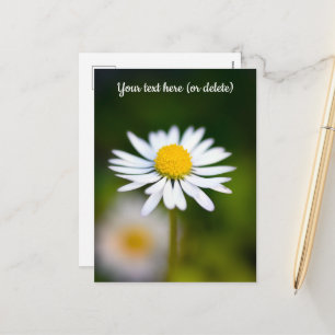 Postal Festiva Daisy Postcard