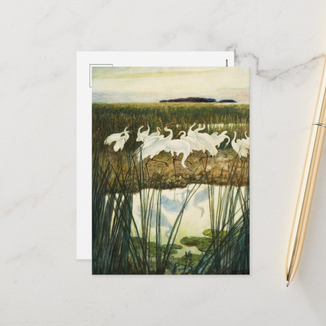 Postal Festiva Danza de las grullas de Whooping de N. C. Wyeth (Anverso/Reverso In Situ)