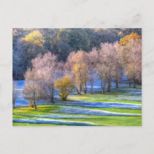 Postal Festiva Dartmoor Morning Frost