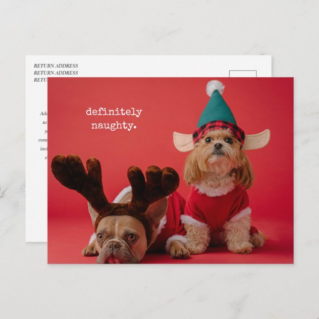 Postal Festiva Definitivamente Navidades de la mala foto Mascota (Anverso / Reverso)