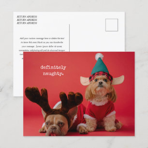Postal Festiva Definitivamente traviesa foto de mascota adorable