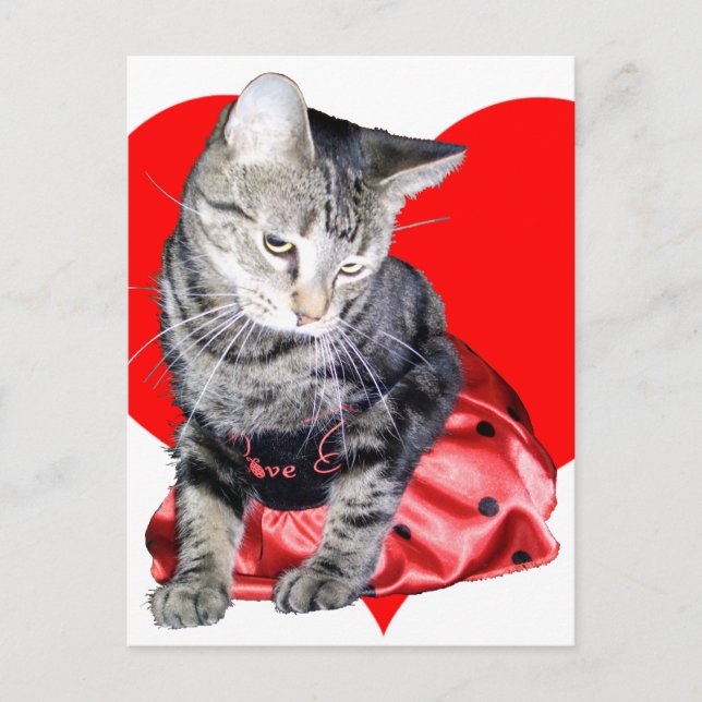 Postal Festiva Del "postal del el día de San Valentín insecto del (Anverso)