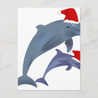 delfines santa