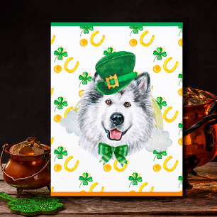 Postal Festiva Día de San Patricio Alaskan Malamute Perro Trébol