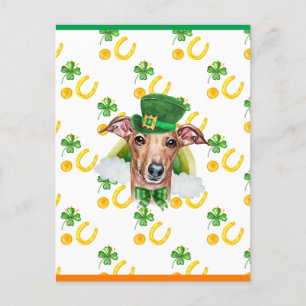 Postal Festiva Día de San Patricio del Galgo Italiano Shamrock