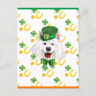 Postal Festiva Día de San Patricio Samoyed Shamrock