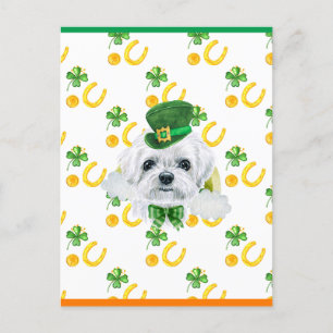 Postal Festiva Día de San Patricio trébol maltés